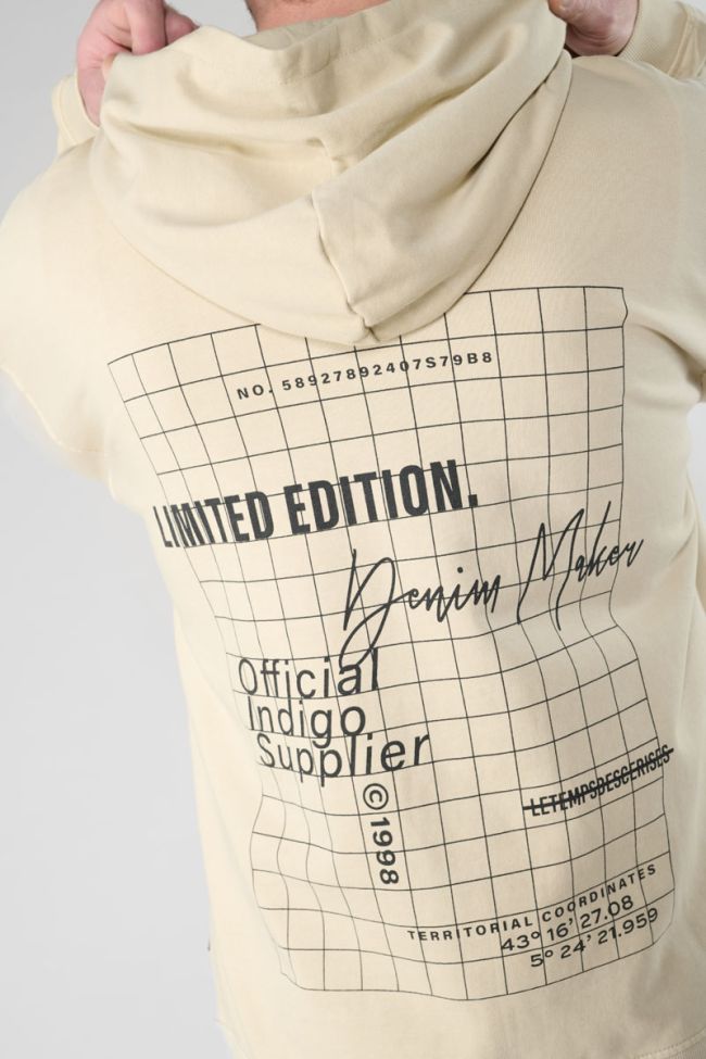 Sweat à capuche Anibo beige 