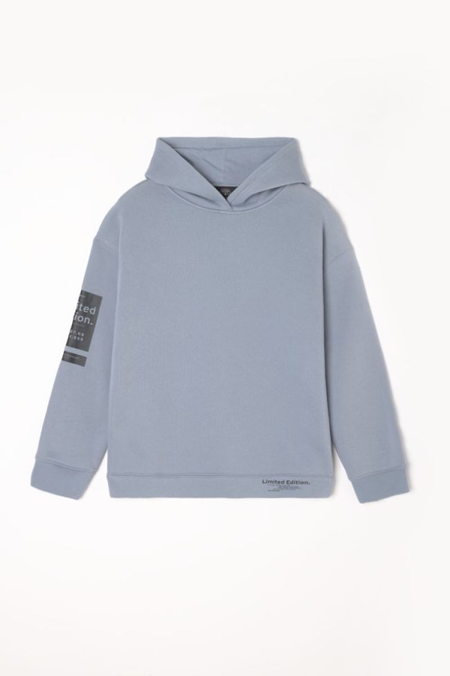 Sweat à capuche Ruinobo bleu-gris