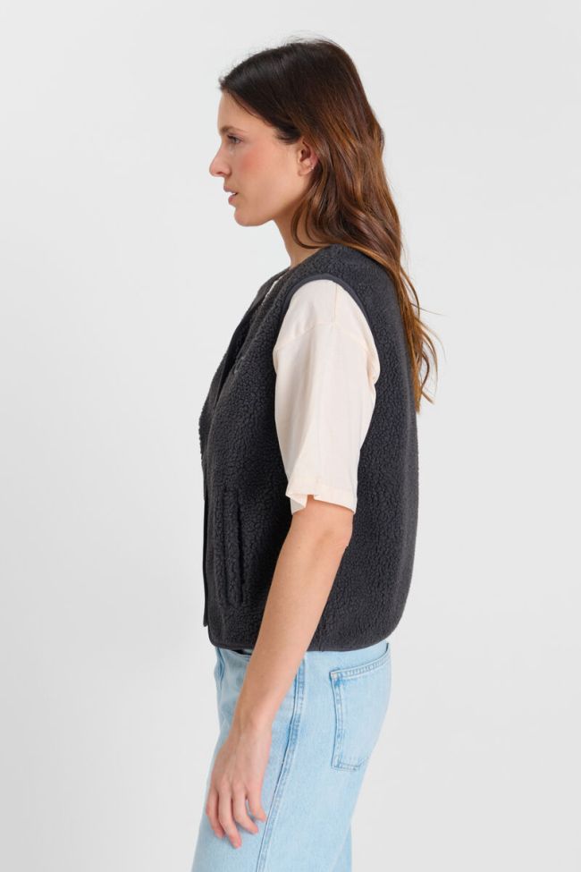 Veste Gudru