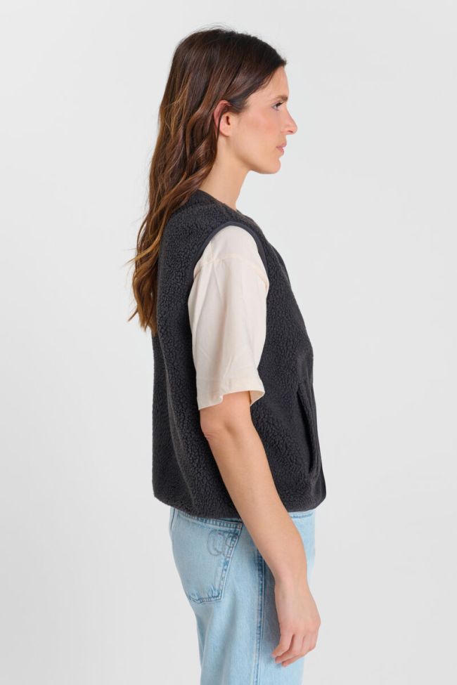 Veste Gudru
