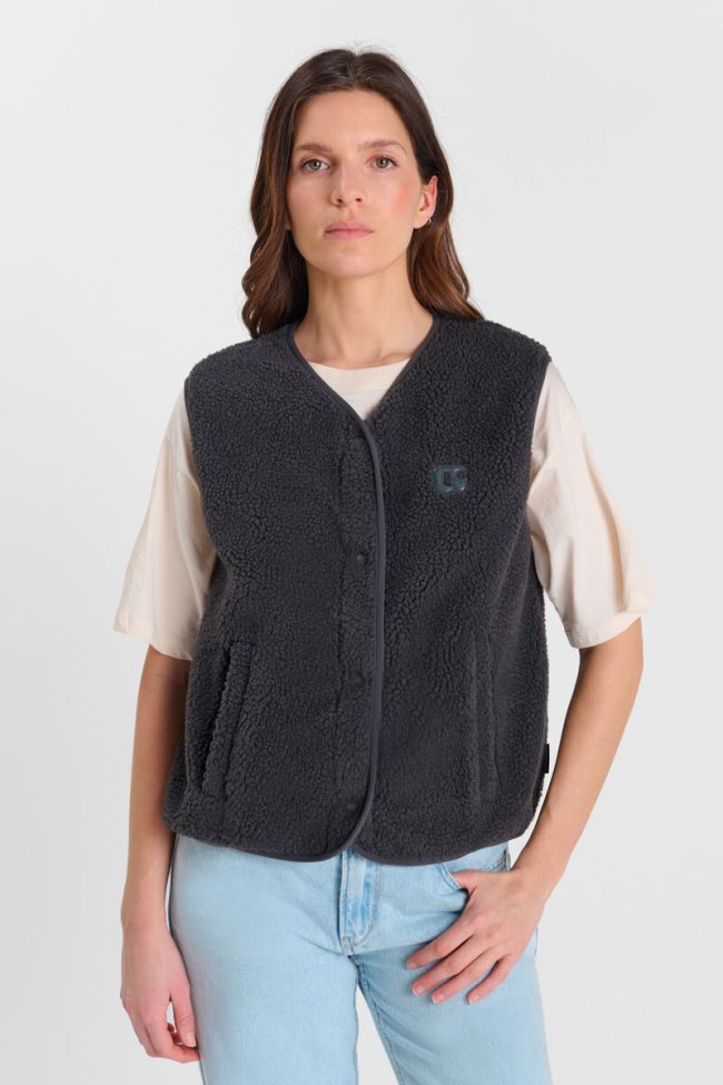 Veste Gudru