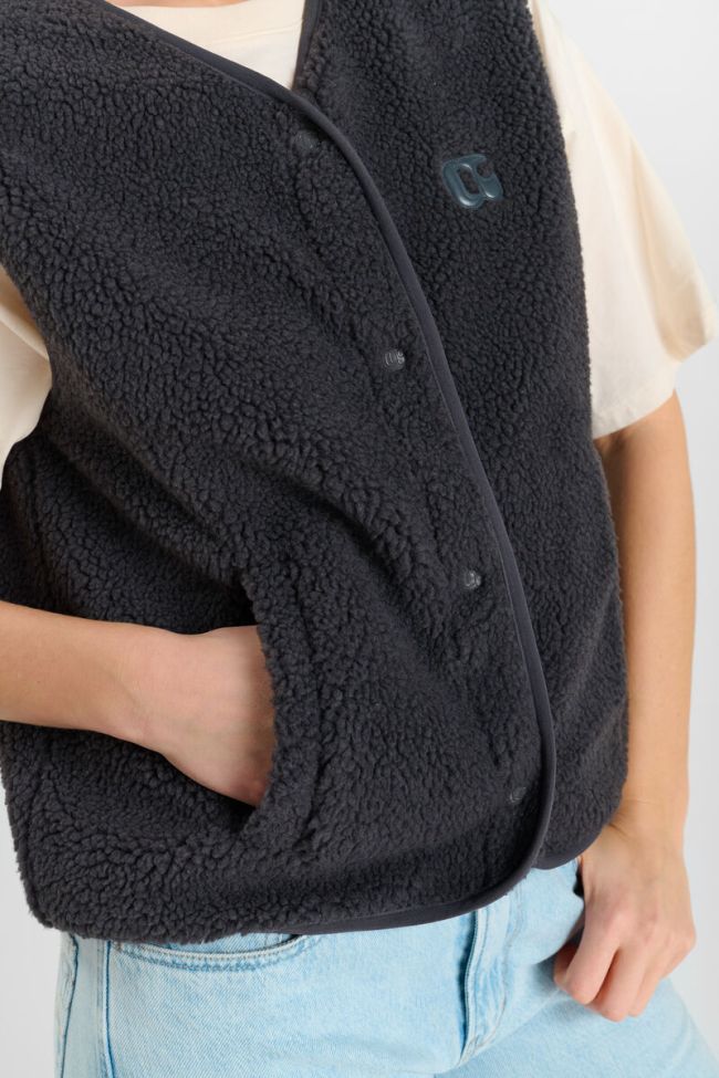 Veste Gudru