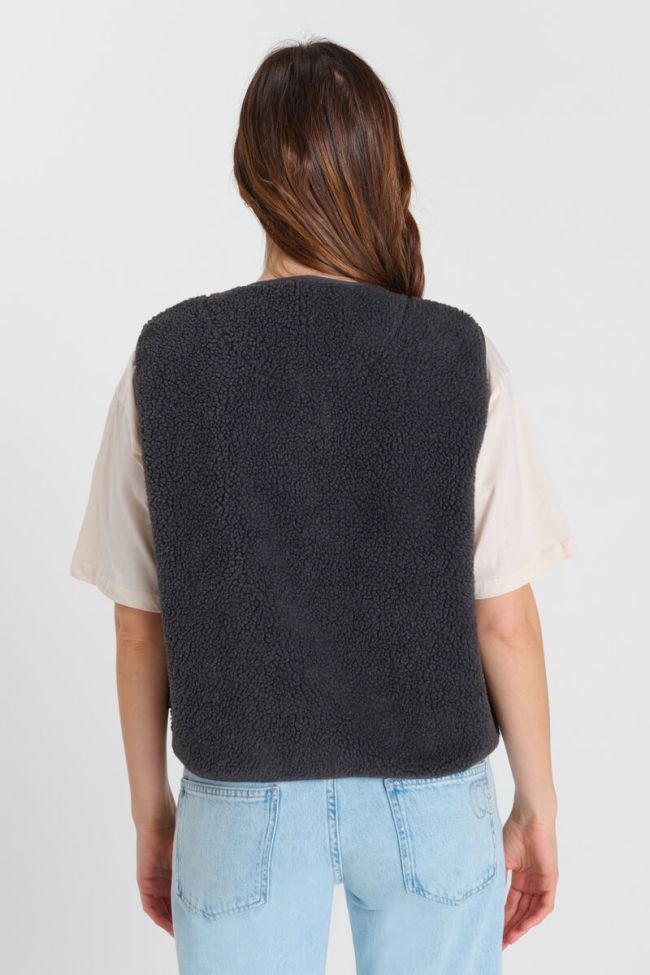 Veste Gudru