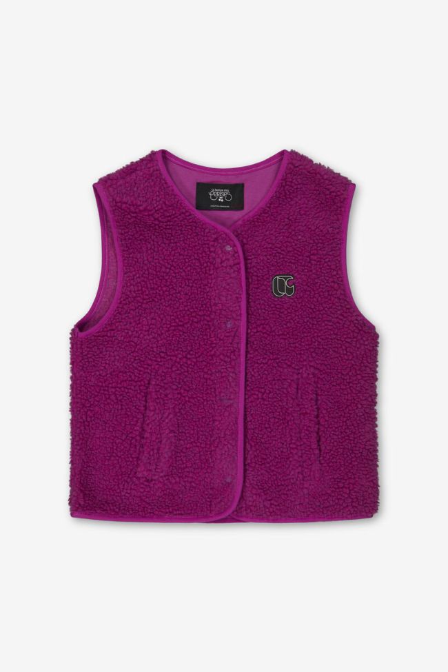 Veste Gudrugi