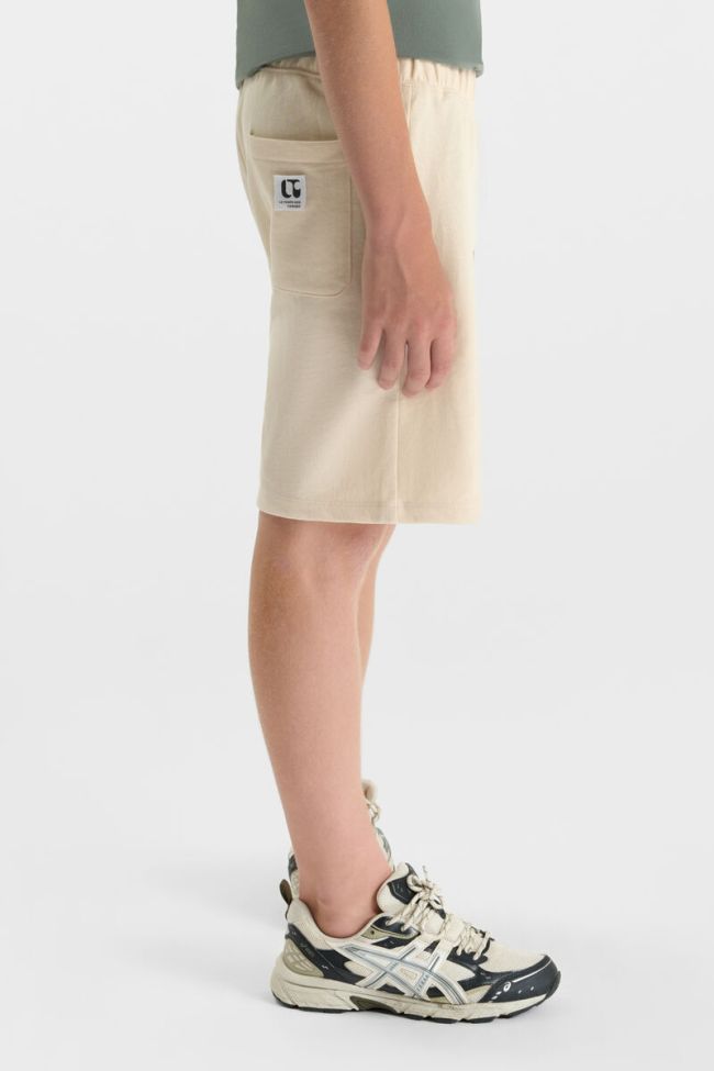 Short Toraybo