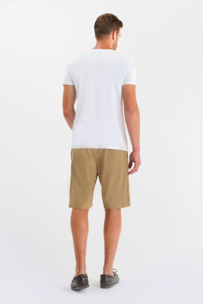 Bermuda Oscar