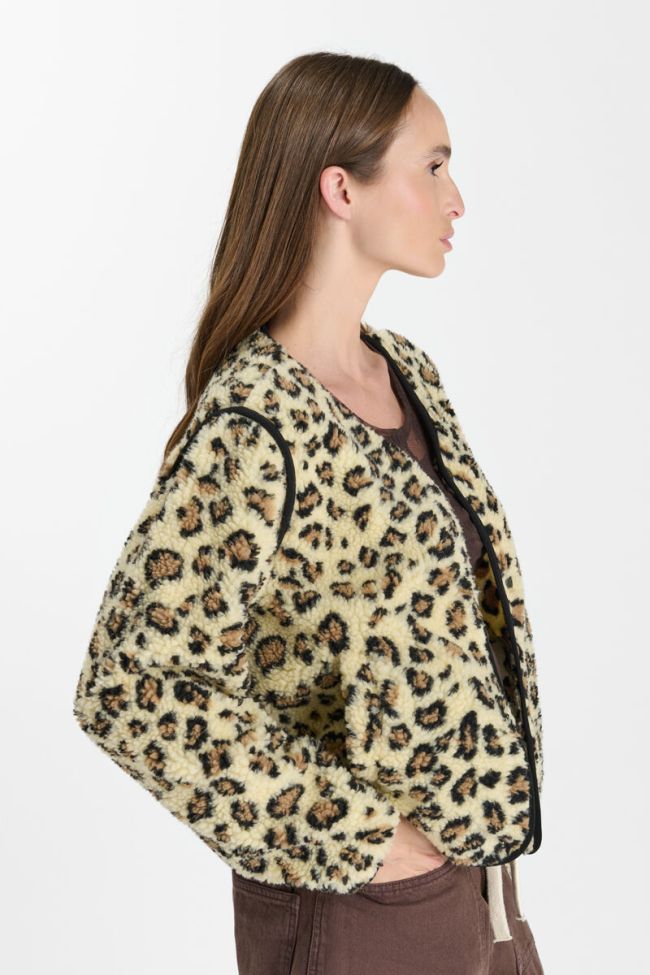 Veste Poema