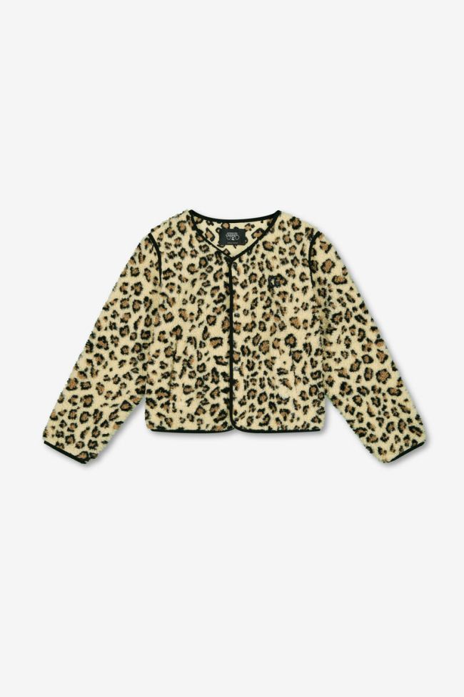 Veste Poema