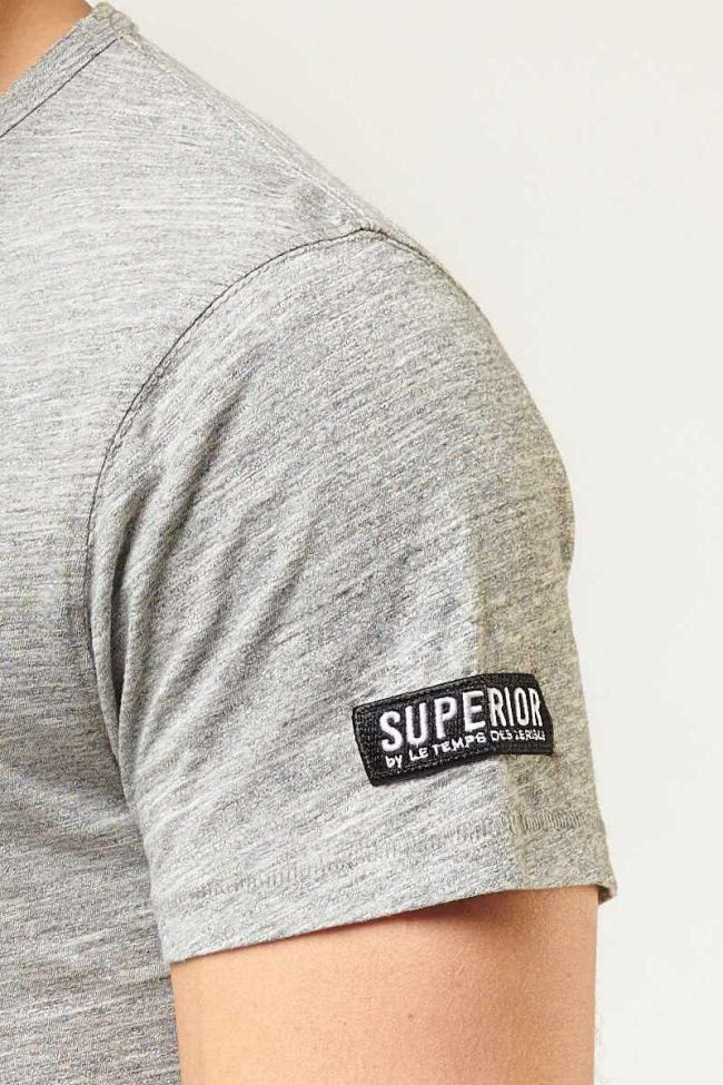 T-shirt Tex Gris