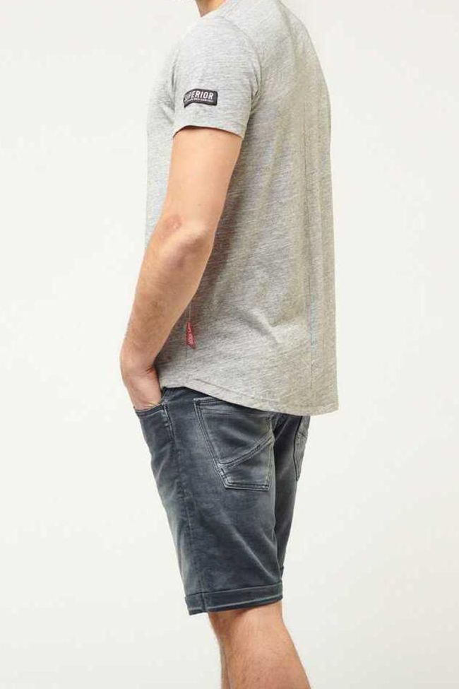 T-shirt Tex Gris