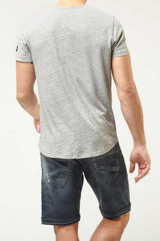 T-shirt Tex Gris