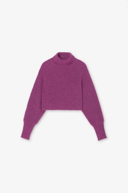 Pull Saiagi fambroise