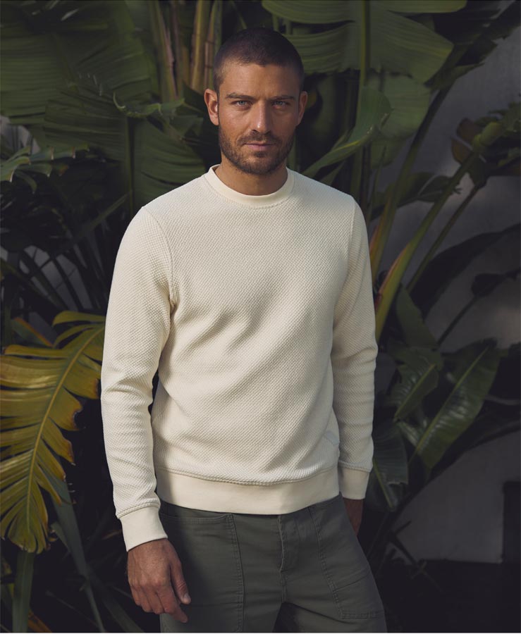 pull homme le temps des cerises